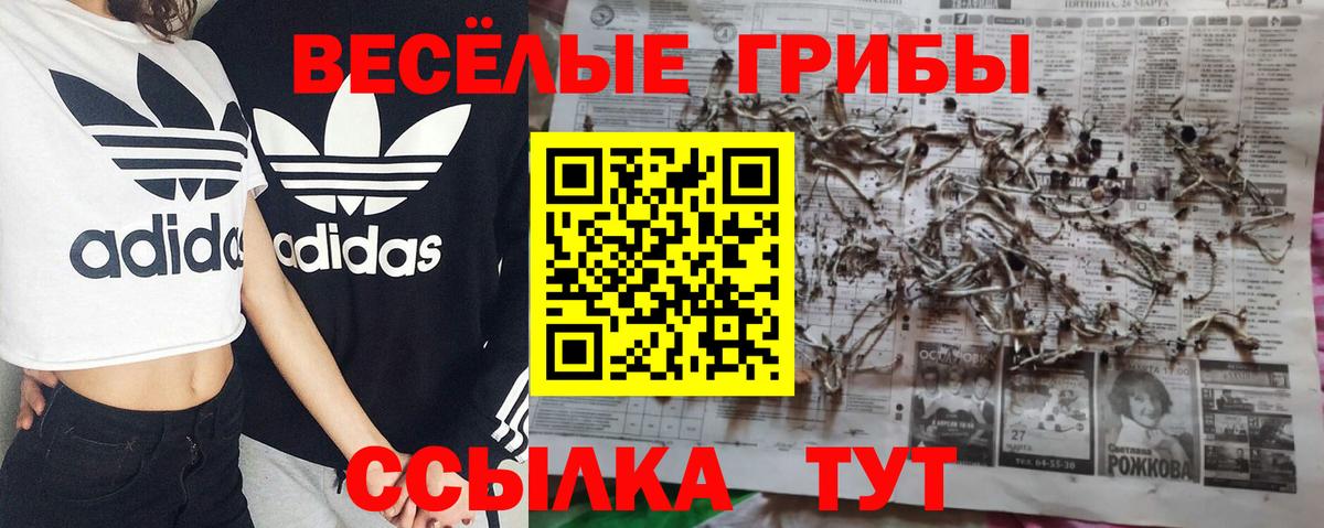 Каменка  Псилоцибиновые грибы ЛСД  Вход с VPN 