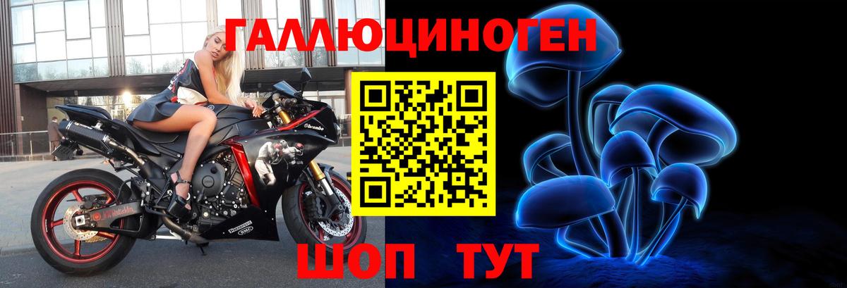 Псилоцибиновые грибы MAGIC MUSHROOMS Каменка