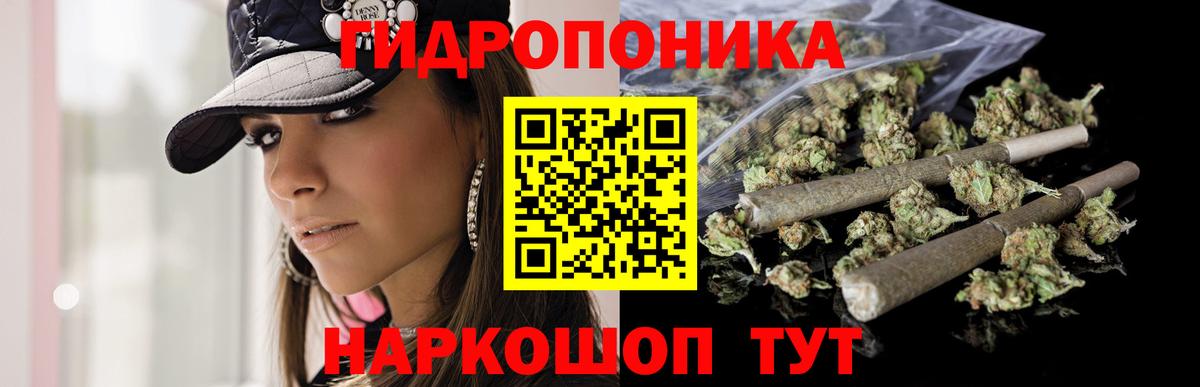 Бошки марихуана Bruce Banner  Конопля Bruce Banner  Каменка  Бошки марихуана план  Вход с VPN 
